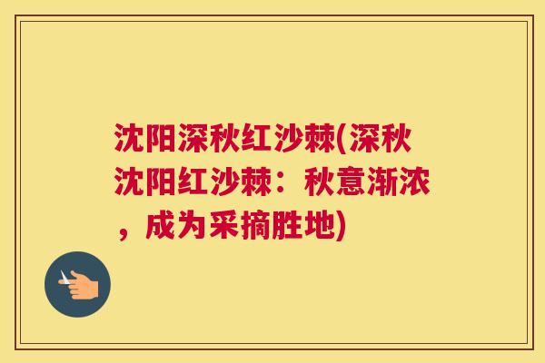 沈阳深秋红沙棘(深秋沈阳红沙棘：秋意渐浓，成为采摘胜地)