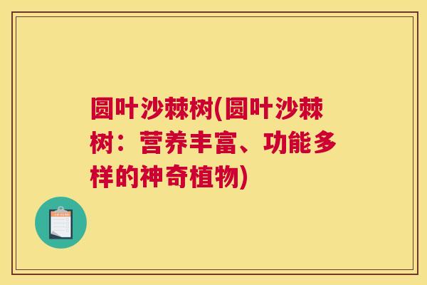 圆叶沙棘树(圆叶沙棘树：营养丰富、功能多样的神奇植物)