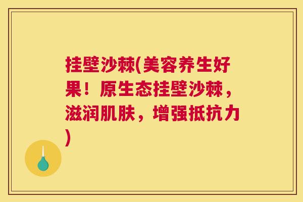 挂壁沙棘(美容养生好果！原生态挂壁沙棘，滋润，增强)