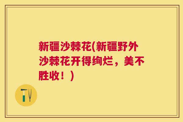 新疆沙棘花(新疆野外沙棘花开得绚烂,美不胜收!) 新疆沙棘花(新疆野外沙棘花开得绚烂,美不胜收!)