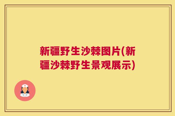 新疆野生沙棘图片(新疆沙棘野生景观展示) 新疆野生沙棘图片(新疆沙棘野生景观展示)