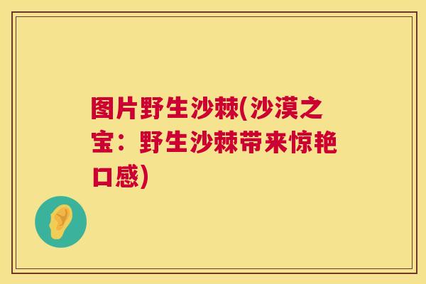 图片野生沙棘(沙漠之宝：野生沙棘带来惊艳口感)
