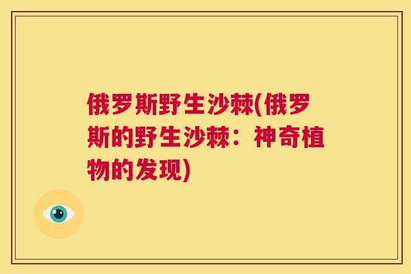 俄罗斯野生沙棘(俄罗斯的野生沙棘:神奇植物的发现)