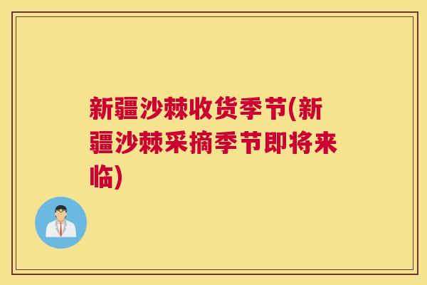 新疆沙棘收货季节(新疆沙棘采摘季节即将来临) 新疆沙棘收货季节(新疆沙棘采摘季节即将来临)