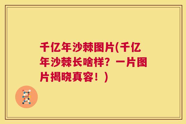 千亿年沙棘图片(千亿年沙棘长啥样?一片图片揭晓真容!)