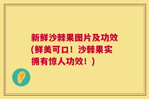 新鲜沙棘果图片及功效(鲜美可口!沙棘果实拥有惊人功效!) 新鲜沙棘果图片及功效(鲜美可口!沙棘果实拥有惊人功效!)