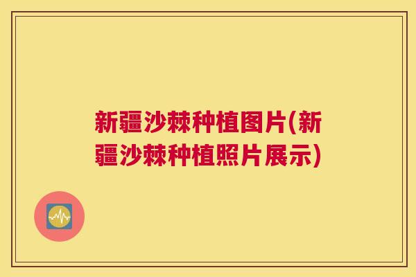 新疆沙棘种植图片(新疆沙棘种植照片展示)