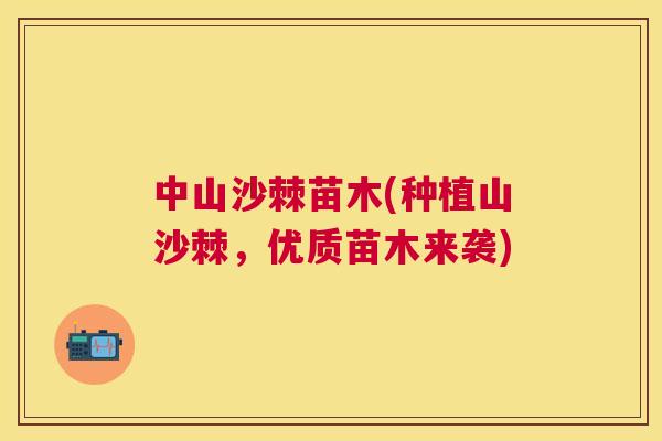 中山沙棘苗木(种植山沙棘,优质苗木来袭) 中山沙棘苗木(种植山沙棘,优质苗木来袭)