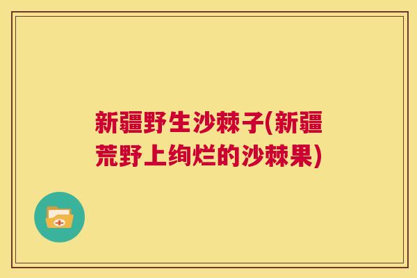 新疆野生沙棘子(新疆荒野上绚烂的沙棘果) 新疆野生沙棘子(新疆荒野上绚烂的沙棘果)