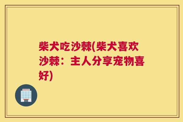 柴犬吃沙棘(柴犬喜欢沙棘：主人分享宠物喜好)