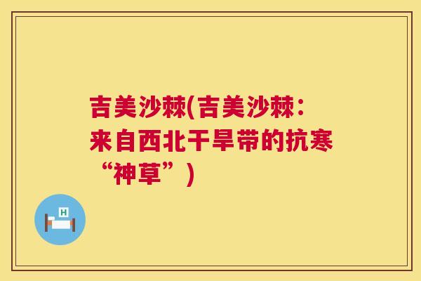 吉美沙棘(吉美沙棘:来自西北干旱带的抗寒“神草”) 吉美沙棘(吉美沙棘:来自西北干旱带的抗寒“神草”)