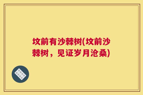 坟前有沙棘树(坟前沙棘树，见证岁月沧桑)