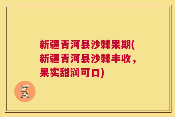 新疆青河县沙棘果期(新疆青河县沙棘丰收，果实甜润可口)