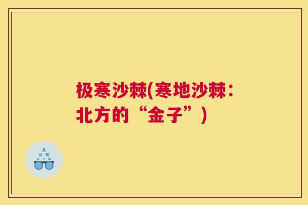 极寒沙棘(寒地沙棘:北方的“金子”) 极寒沙棘(寒地沙棘:北方的“金子”)