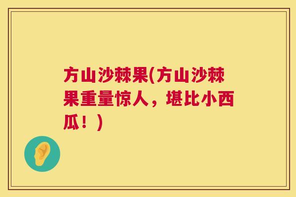 方山沙棘果(方山沙棘果重量惊人,堪比小西瓜!) 方山沙棘果(方山沙棘果重量惊人,堪比小西瓜!)