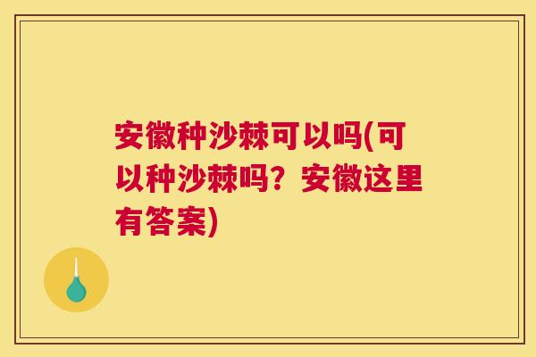 安徽种沙棘可以吗(可以种沙棘吗？安徽这里有答案)