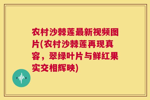 农村沙棘莲最新视频图片(农村沙棘莲再现真容，翠绿叶片与鲜红果实交相辉映)