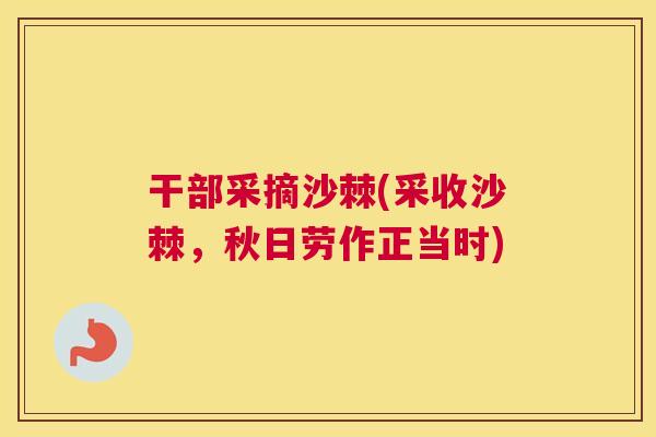 干部采摘沙棘(采收沙棘,秋日劳作正当时) 干部采摘沙棘(采收沙棘,秋日劳作正当时)