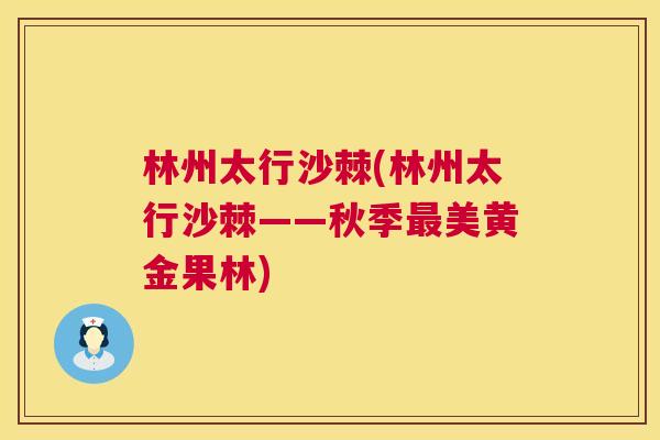 林州太行沙棘(林州太行沙棘——秋季美黄金果林) 林州太行沙棘(林州太行沙棘——秋季美黄金果林)