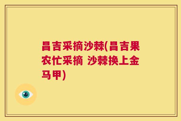 昌吉采摘沙棘(昌吉果农忙采摘 沙棘换上金马甲)