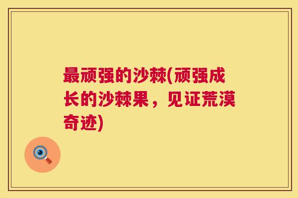 顽强的沙棘(顽强成长的沙棘果，见证荒漠奇迹)