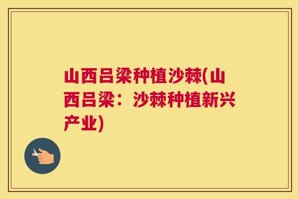 山西吕梁种植沙棘(山西吕梁:沙棘种植新兴产业) 山西吕梁种植沙棘(山西吕梁:沙棘种植新兴产业)