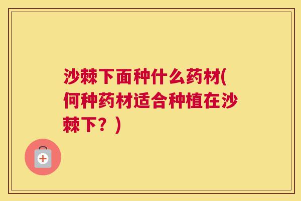 沙棘下面种什么药材(何种药材适合种植在沙棘下？)