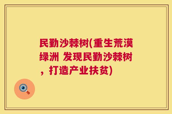 民勤沙棘树(重生荒漠绿洲 发现民勤沙棘树,打造产业扶贫) 民勤沙棘树(重生荒漠绿洲 发现民勤沙棘树,打造产业扶贫)