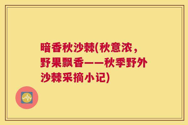 暗香秋沙棘(秋意浓,野果飘香——秋季野外沙棘采摘小记) 暗香秋沙棘(秋意浓,野果飘香——秋季野外沙棘采摘小记)