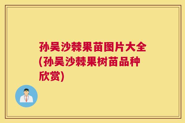 孙吴沙棘果苗图片大全(孙吴沙棘果树苗品种欣赏) 孙吴沙棘果苗图片大全(孙吴沙棘果树苗品种欣赏)