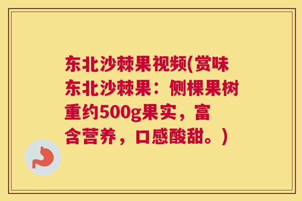 东北沙棘果视频(赏味东北沙棘果:侧棵果树重约500g果实,富含营养,口感酸甜。)