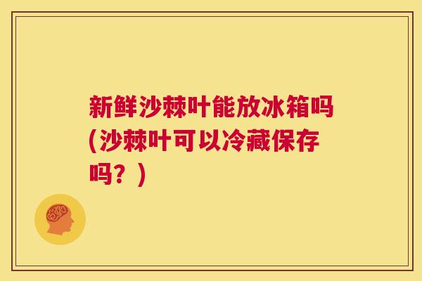 新鲜沙棘叶能放冰箱吗(沙棘叶可以冷藏保存吗？)