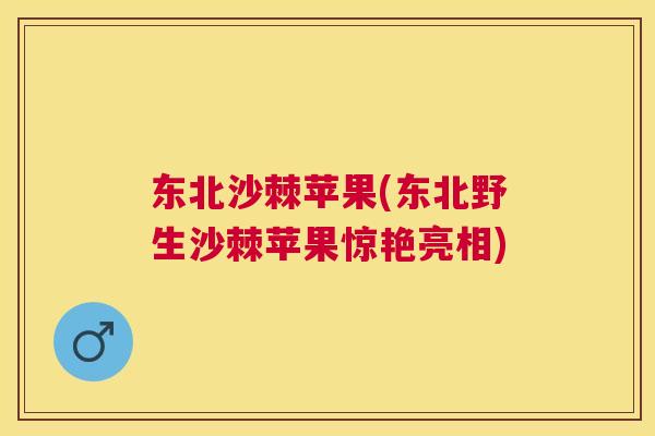 东北沙棘苹果(东北野生沙棘苹果惊艳亮相)