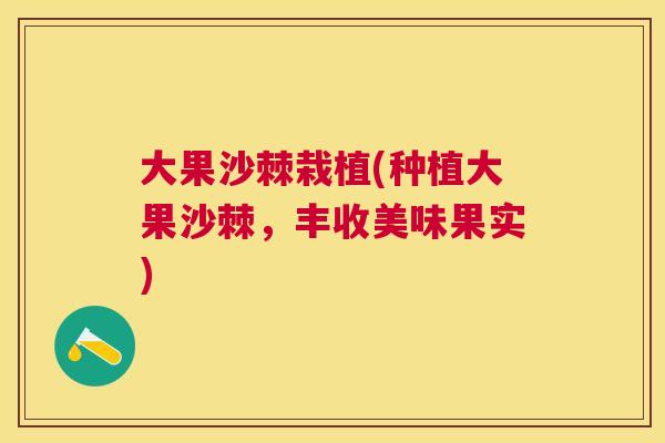 大果沙棘栽植(种植大果沙棘，丰收美味果实)