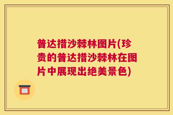 普达措沙棘林图片(珍贵的普达措沙棘林在图片中展现出绝美景色) 普达措沙棘林图片(珍贵的普达措沙棘林在图片中展现出绝美景色)