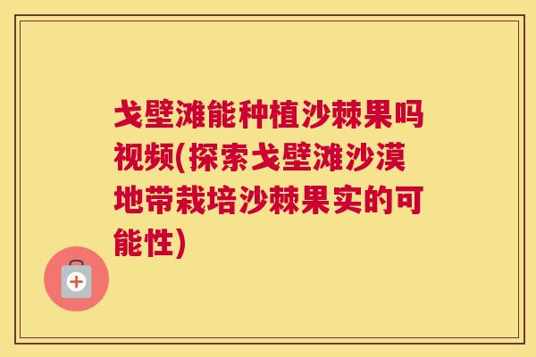 戈壁滩能种植沙棘果吗视频(探索戈壁滩沙漠地带栽培沙棘果实的可能性)