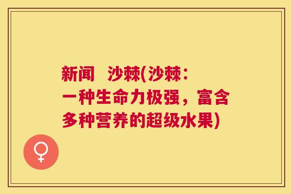 新闻  沙棘(沙棘：一种生命力极强，富含多种营养的超级水果)