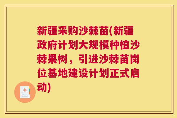新疆采购沙棘苗(新疆政府计划大规模种植沙棘果树，引进沙棘苗岗位基地建设计划正式启动)