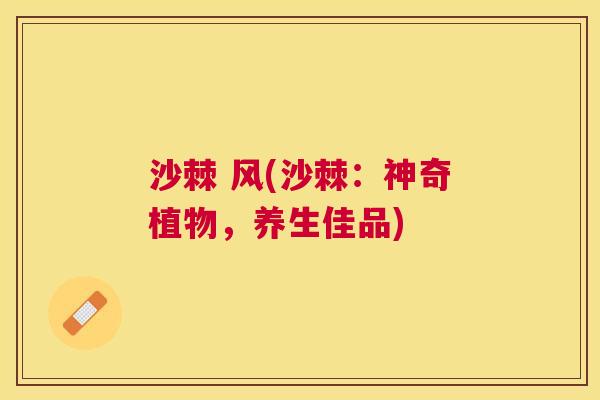 沙棘 风(沙棘：神奇植物，养生佳品)