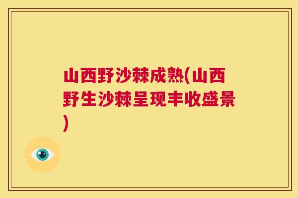 山西野沙棘成熟(山西野生沙棘呈现丰收盛景)