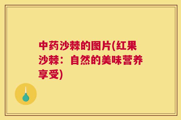中药沙棘的图片(红果沙棘:自然的美味营养享受)