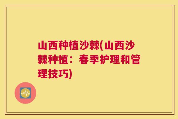 山西种植沙棘(山西沙棘种植:春季护理和管理技巧) 山西种植沙棘(山西沙棘种植:春季护理和管理技巧)