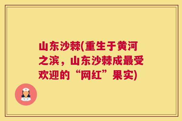 山东沙棘(重生于黄河之滨，山东沙棘成最受欢迎的“网红”果实)