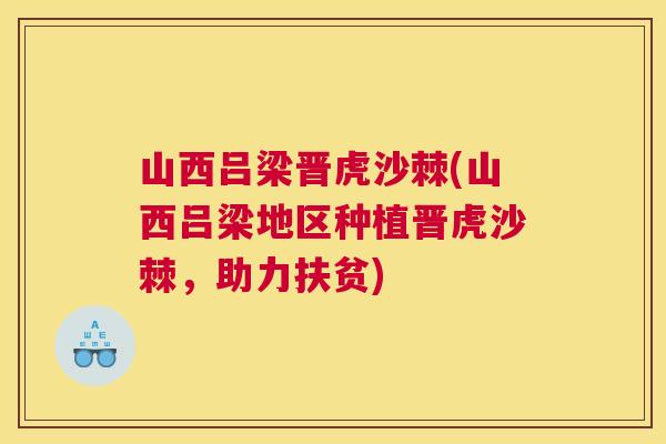 山西吕梁晋虎沙棘(山西吕梁地区种植晋虎沙棘，助力扶贫)