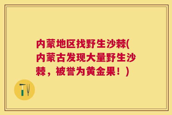 内蒙地区找野生沙棘(内蒙古发现大量野生沙棘，被誉为黄金果！)