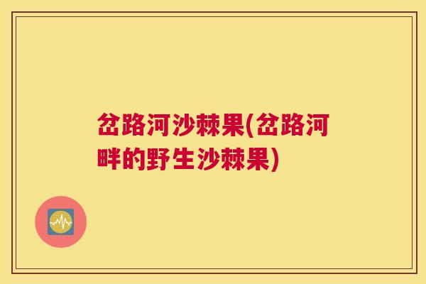 岔路河沙棘果(岔路河畔的野生沙棘果)