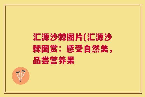 汇源沙棘图片(汇源沙棘图赏:感受自然美,品尝营养果