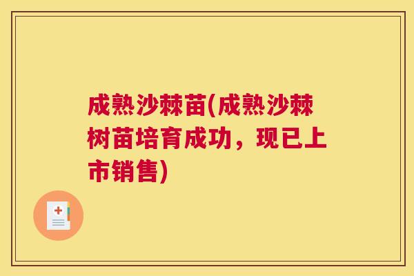 成熟沙棘苗(成熟沙棘树苗培育成功,现已上市销售) 成熟沙棘苗(成熟沙棘树苗培育成功,现已上市销售)