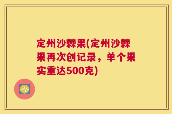定州沙棘果(定州沙棘果再次创记录，单个果实重达500克)