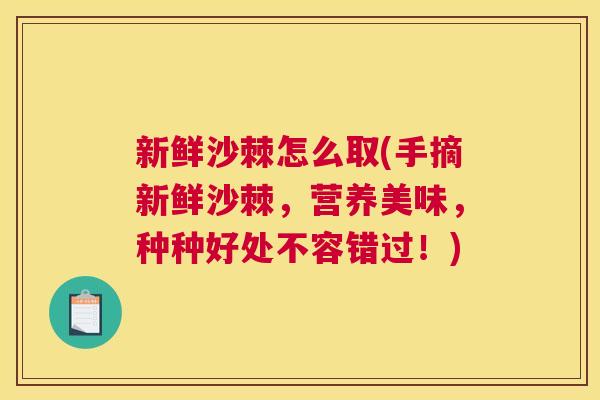 新鲜沙棘怎么取(手摘新鲜沙棘，营养美味，种种好处不容错过！)
